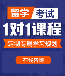 大鸡巴肏日本屄在线观看留学考试一对一精品课